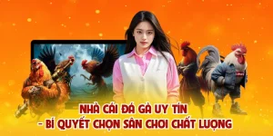 Nhà Cái Đá Gà Uy Tín – Bí Quyết Chọn Sân Chơi Chất Lượng
